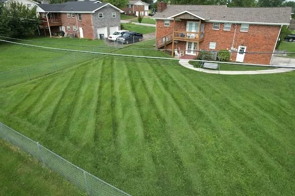 Wide striped front lawn running up to a two-story brick home